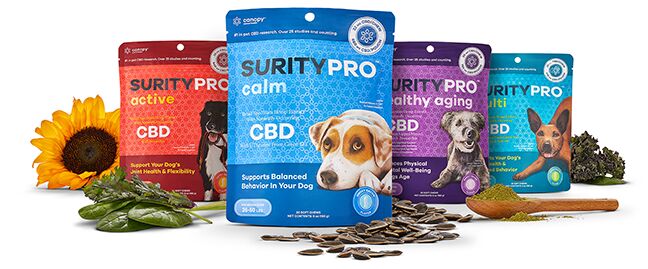 SURITY_PRO_2021_MEDIUM DOG_COMP_FINAL.png